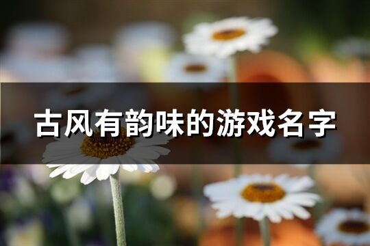 古風(fēng)有韻味的游戲名字(1221個)