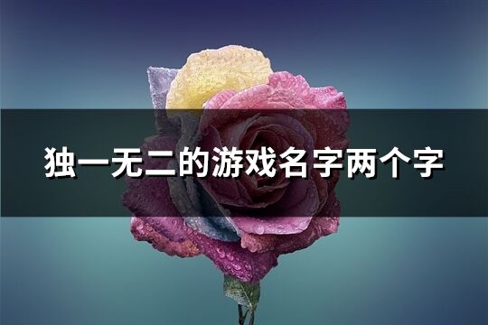 獨一無二的游戲名字兩個字(共652個)