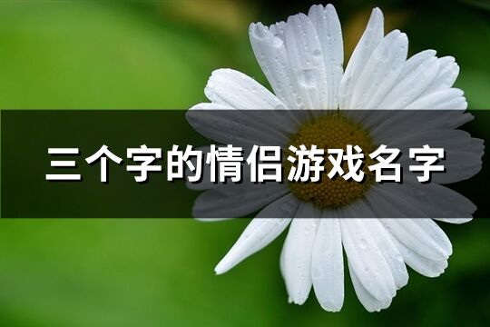 三個(gè)字的情侶游戲名字(205個(gè))