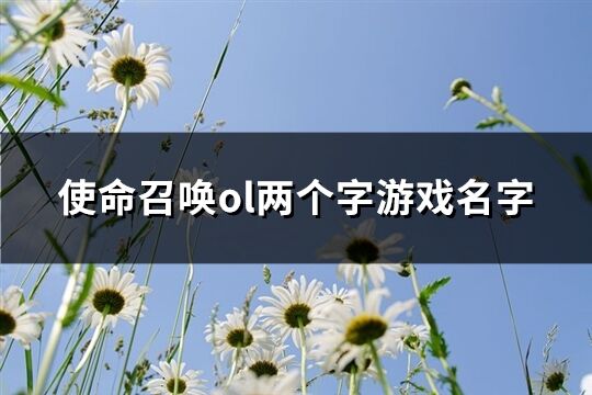 使命召喚ol兩個字游戲名字(451個)