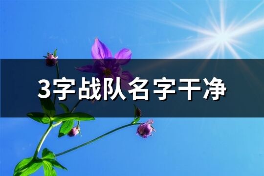 3字戰隊名字干凈(186個)