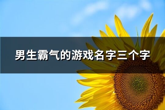 男生霸氣的游戲名字三個字(優(yōu)選308個)