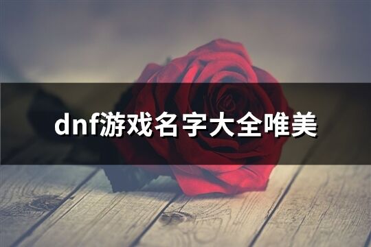 dnf游戲名字大全唯美(精選147個)