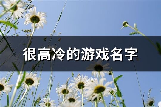 很高冷的游戲名字(共386個)