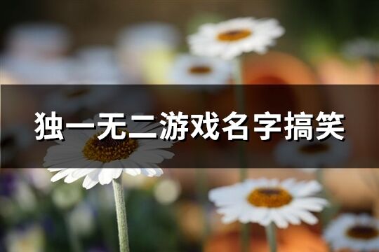 獨一無二游戲名字搞笑(654個)