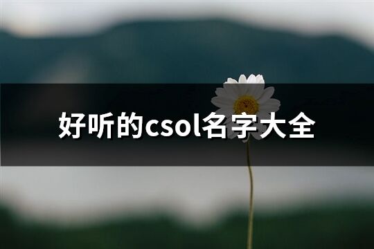 好聽的csol名字大全(優(yōu)選258個(gè))