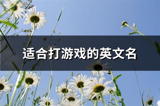適合打游戲的英文名(共132個)