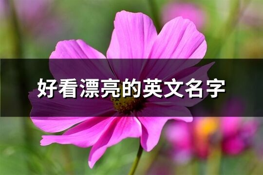 好看漂亮的英文名字(精選81個)