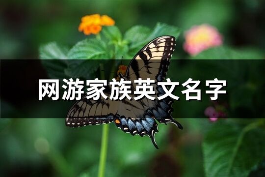 網(wǎng)游家族英文名字(優(yōu)選69個(gè))