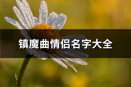 鎮魔曲情侶名字大全(共120個)