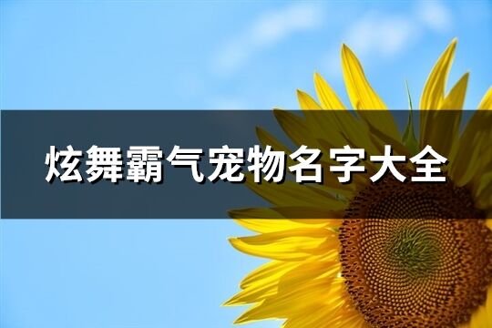 炫舞霸氣寵物名字大全(精選245個)