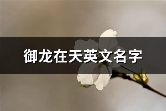 御龍在天英文名字(96個)