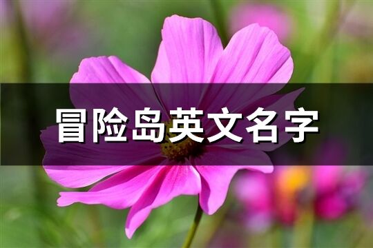 冒險島英文名字(精選76個)