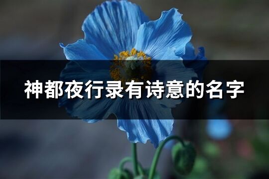 神都夜行錄有詩意的名字(精選168個)