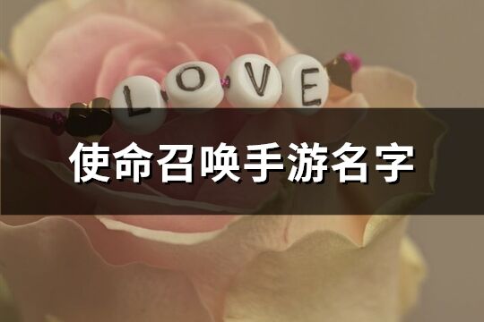 使命召喚手游名字(448個)