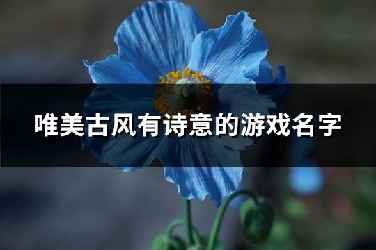 唯美古風(fēng)有詩(shī)意的游戲名字(精選1133個(gè))