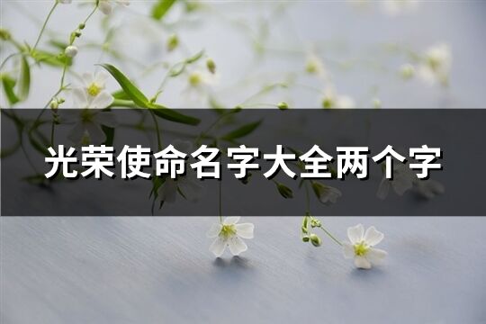 光榮使命名字大全兩個字(優選675個)