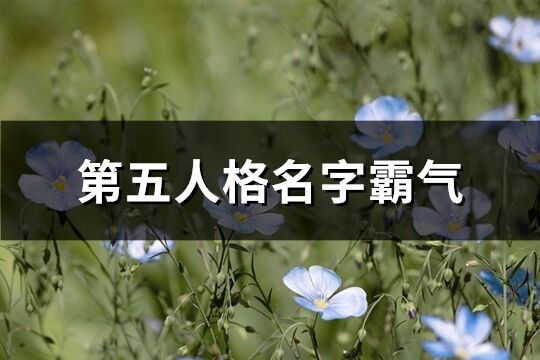 第五人格名字霸氣(優選289個)