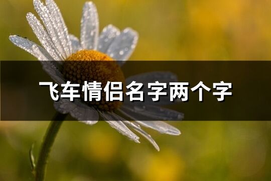 飛車情侶名字兩個字(75個)