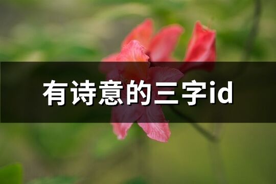 有詩意的三字id(優選979個)