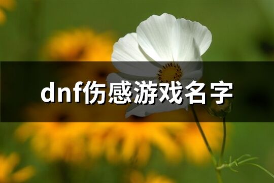 dnf傷感游戲名字(優選155個)