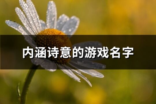 內(nèi)涵詩意的游戲名字(精選568個(gè))