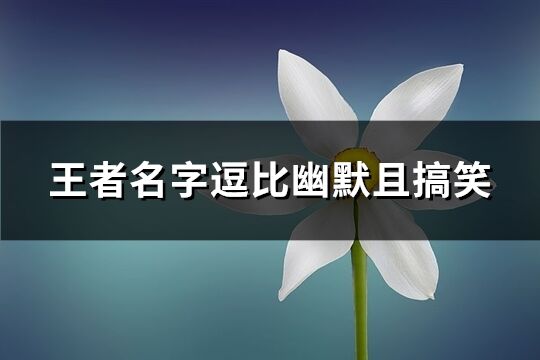 王者名字逗比幽默且搞笑(共55個)