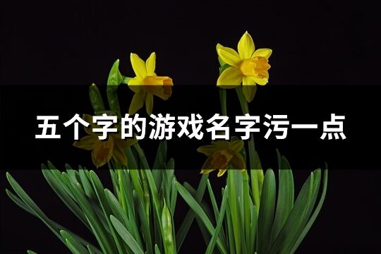 五個字的游戲名字污一點(共278個)