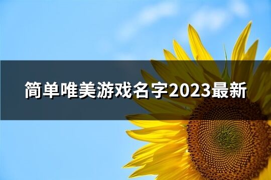 簡單唯美游戲名字2023最新(精選72個)