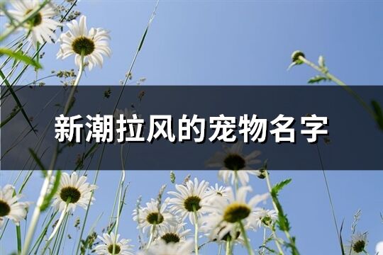 新潮拉風的寵物名字(精選181組)