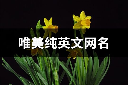 唯美純英文網名(195個)