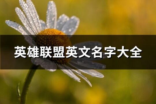 英雄聯盟英文名字大全(108個)
