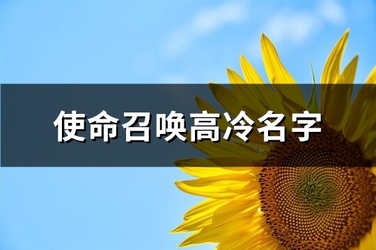 使命召喚高冷名字(精選213個)