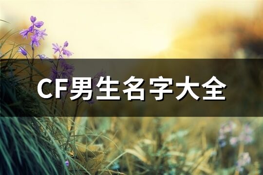 CF男生名字大全(優(yōu)選410個(gè))