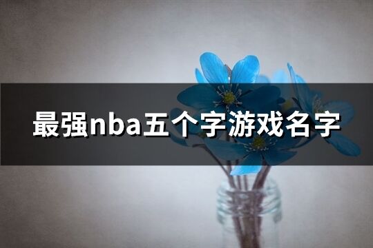 最強nba五個字游戲名字(共689個)