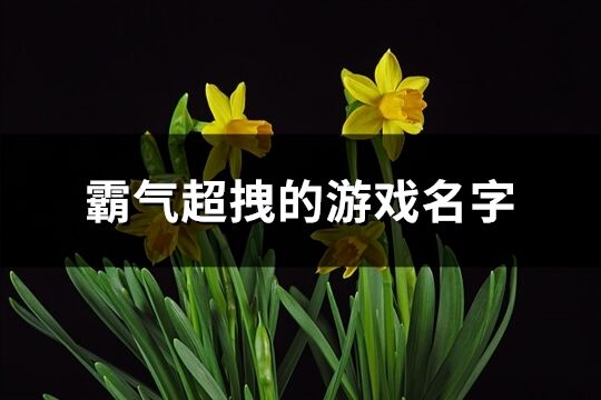 霸氣超拽的游戲名字(優選1092個)