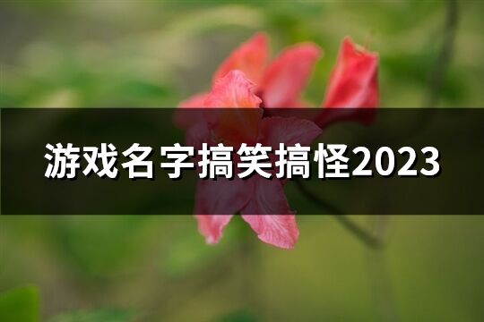 游戲名字搞笑搞怪2023(共338個)