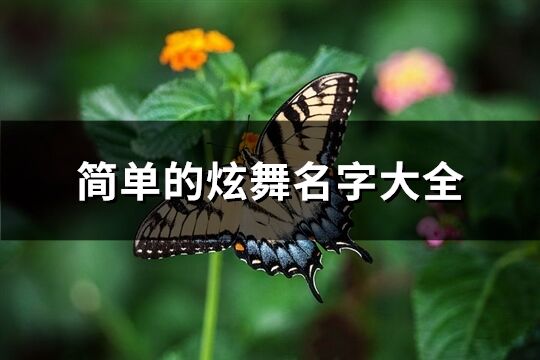 簡單的炫舞名字大全(共340個)