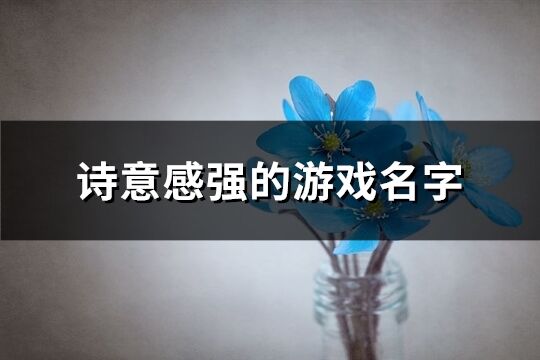 詩意感強的游戲名字(精選1043個)
