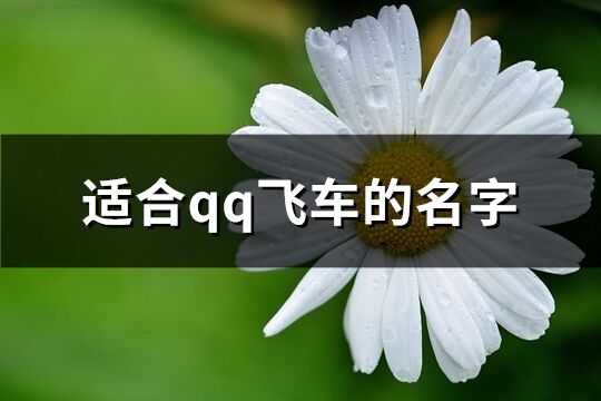 適合qq飛車的名字(精選627個(gè))