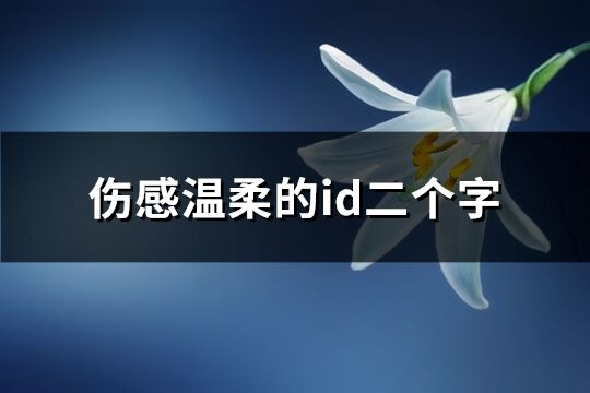 傷感溫柔的id二個字(395個)