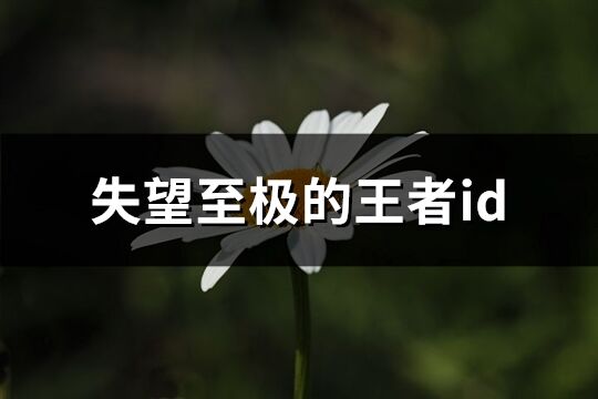 失望至極的王者id(優選561個)