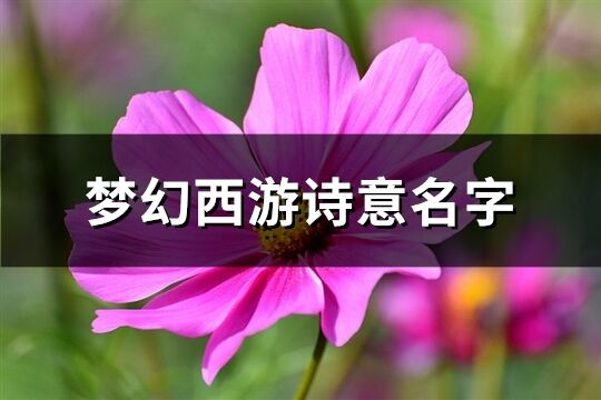 夢幻西游詩意名字(優選232個)