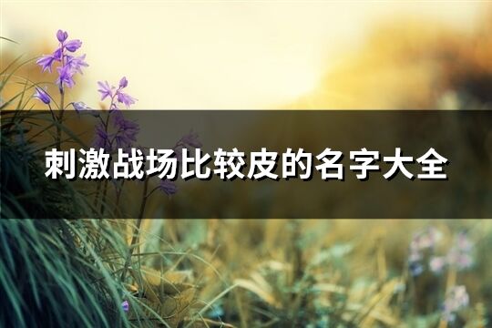 刺激戰場比較皮的名字大全(170個)