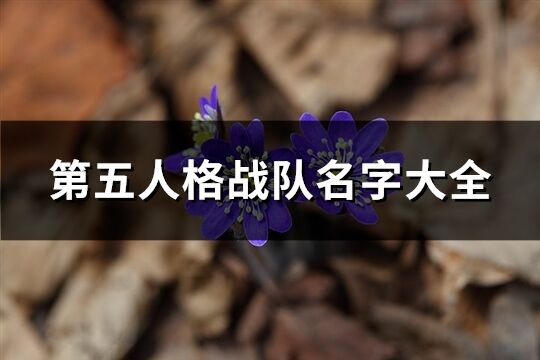 第五人格戰(zhàn)隊名字大全(共78個)
