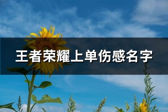 王者榮耀上單傷感名字(共294個)