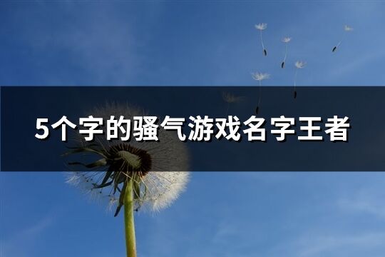 5個字的騷氣游戲名字王者(精選577個)
