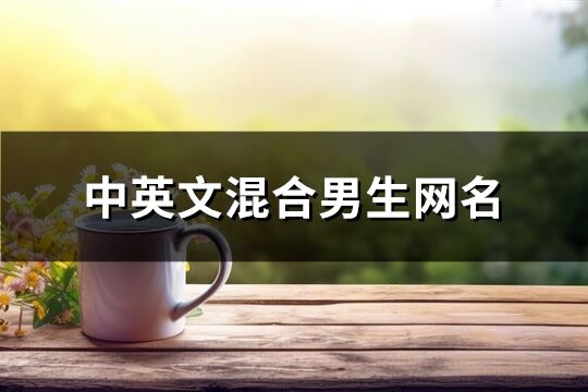 中英文混合男生網(wǎng)名(77個(gè))