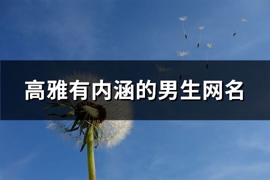 高雅有內(nèi)涵的男生網(wǎng)名(精選467個(gè))