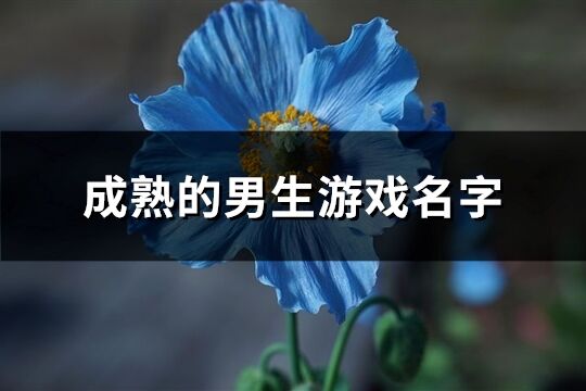成熟的男生游戲名字(335個)